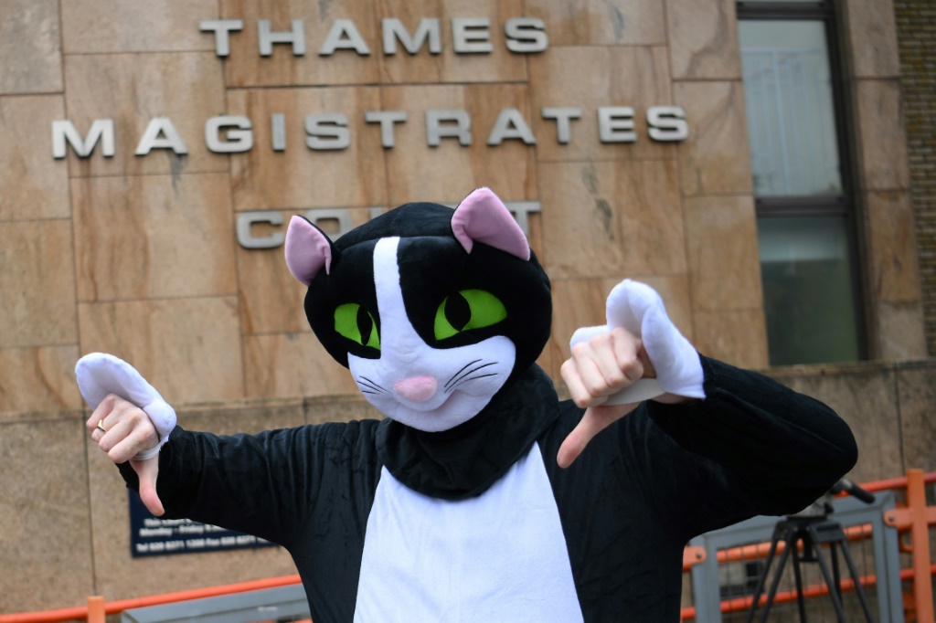 Un manifestant déguisé en chat, le 1er juin 2022, devant le tribunal de Londres qui a condamné le défenseur français de West Ham Kurt Zouma à des travaux d'intérêt général pour avoir maltraité son animal