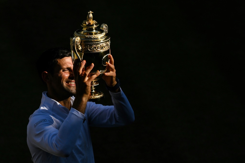 Le Serbe Novak Djokovic, vainqueur de Wimbledon, le 10 juillet 2022