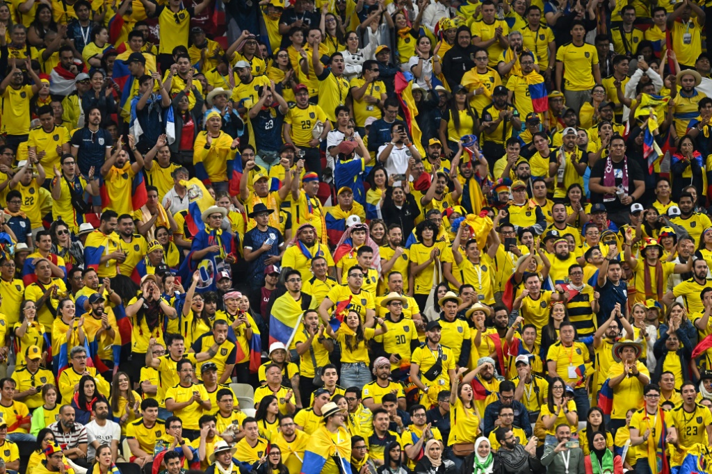 Supporteurs équatoriens au stade Al Khor, le 20 novembre 2022
