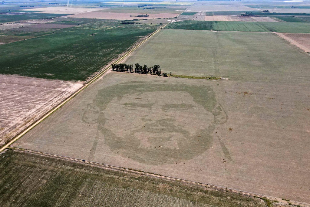 Des graines de maïs plantées créent un dessin du visage champion du monde argentin Lionel Messi